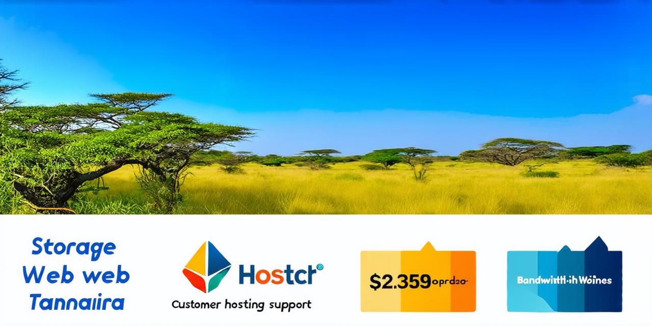 what is the price of web hosting in tanzania